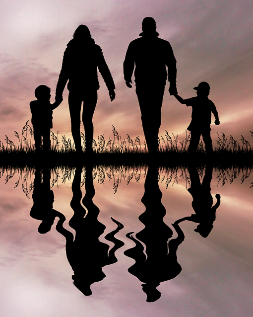 Aile Dizimi Nedir? - Ay Akademi