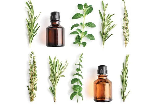 KALP ÇAKRASI İÇİN AROMATERAPİ YAĞLARI - Ay Akademi