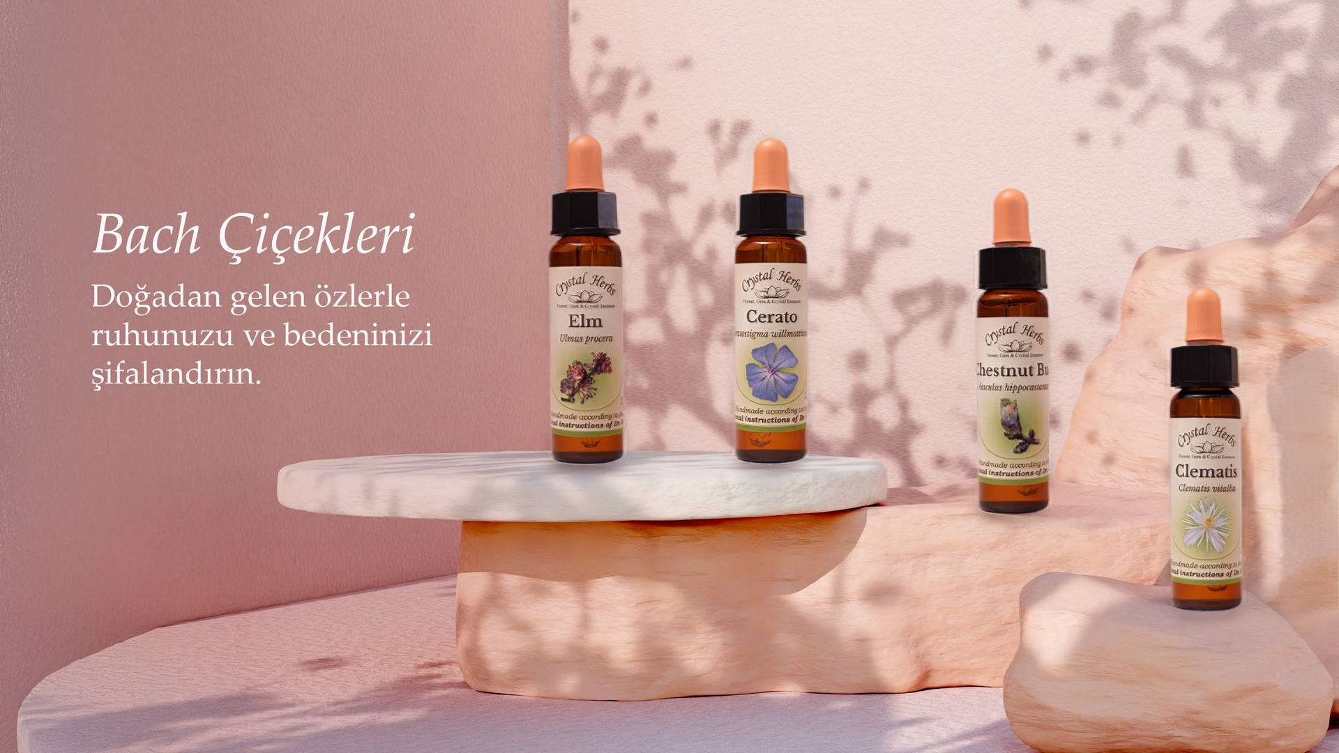 Bach Çiçekleri