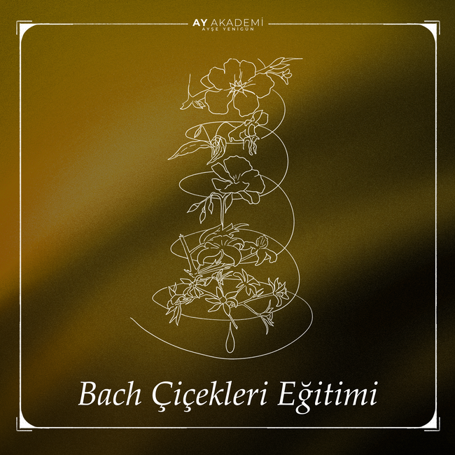 Bach Çiçekleri Eğitimi