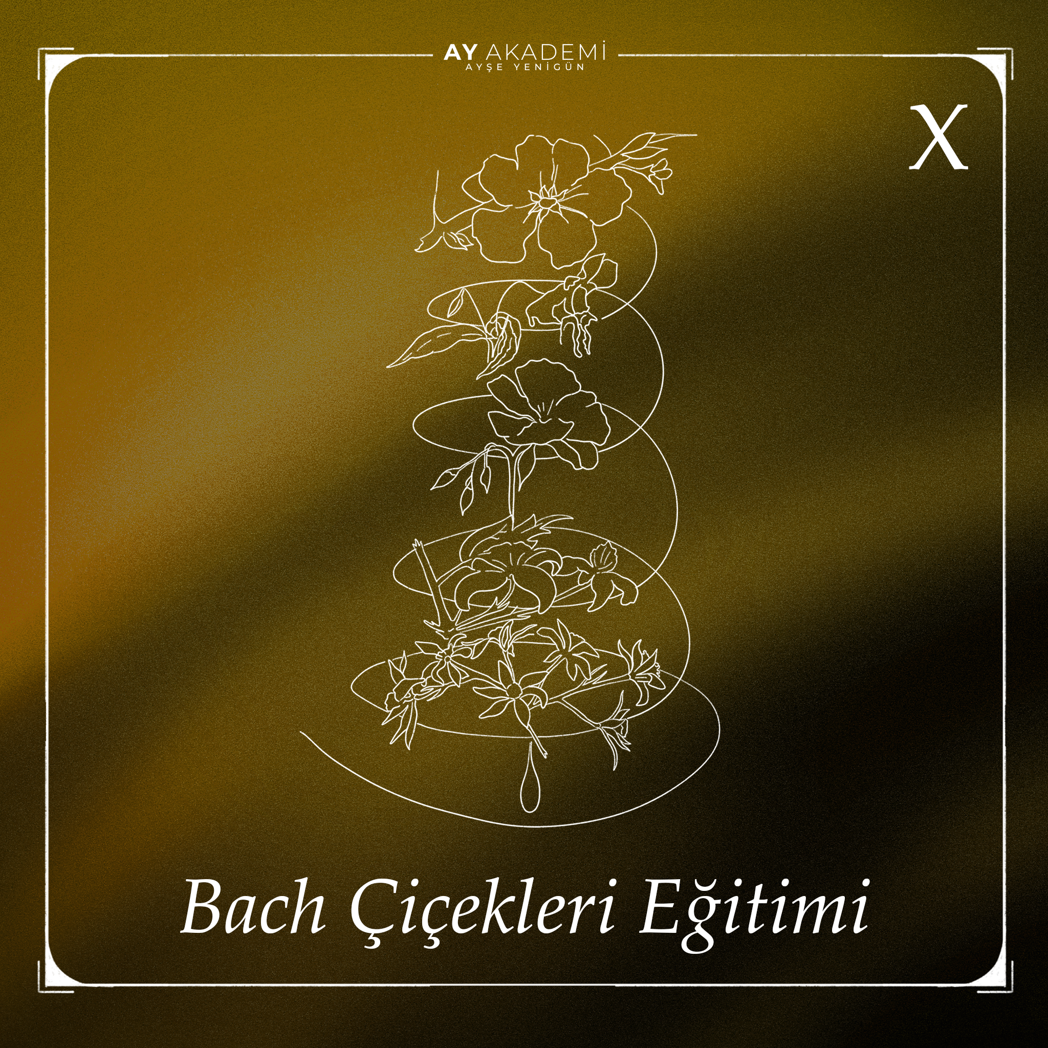 Bach Çiçekleri Eğitimi