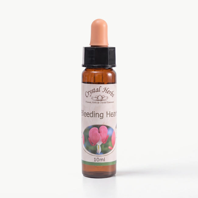 BLEEDING HEART ( KANAYAN KALP )     10 ML. Ay Akademi