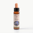 BORAGE ( HODAN )    10 ML. Ay Akademi