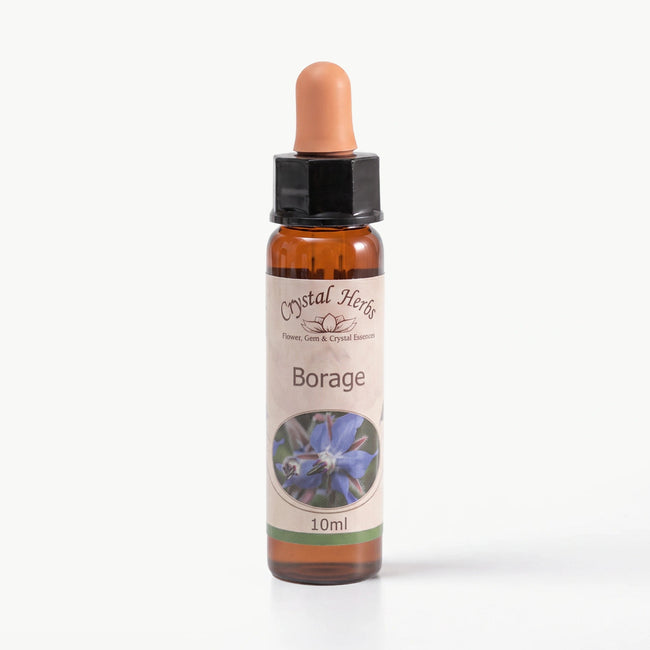 BORAGE ( HODAN )    10 ML. Ay Akademi