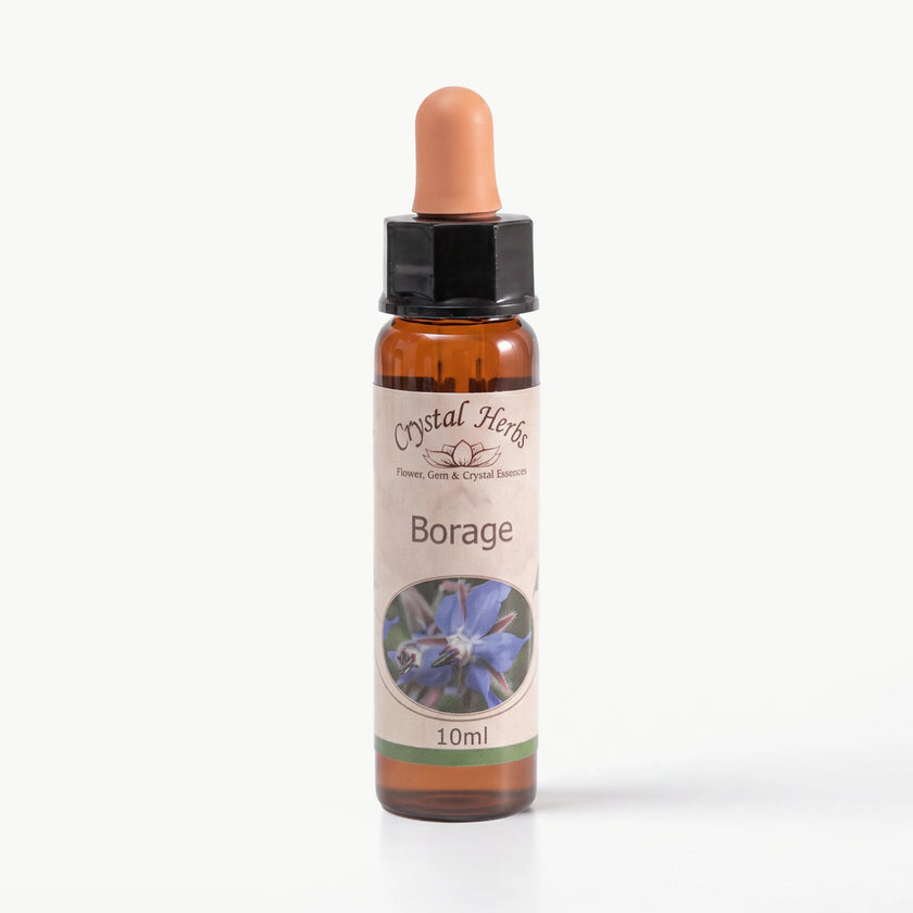 BORAGE ( HODAN )    10 ML. Ay Akademi