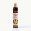 CELANDINE ( KIRLANGIÇ OTU )       10 ML. Ay Akademi