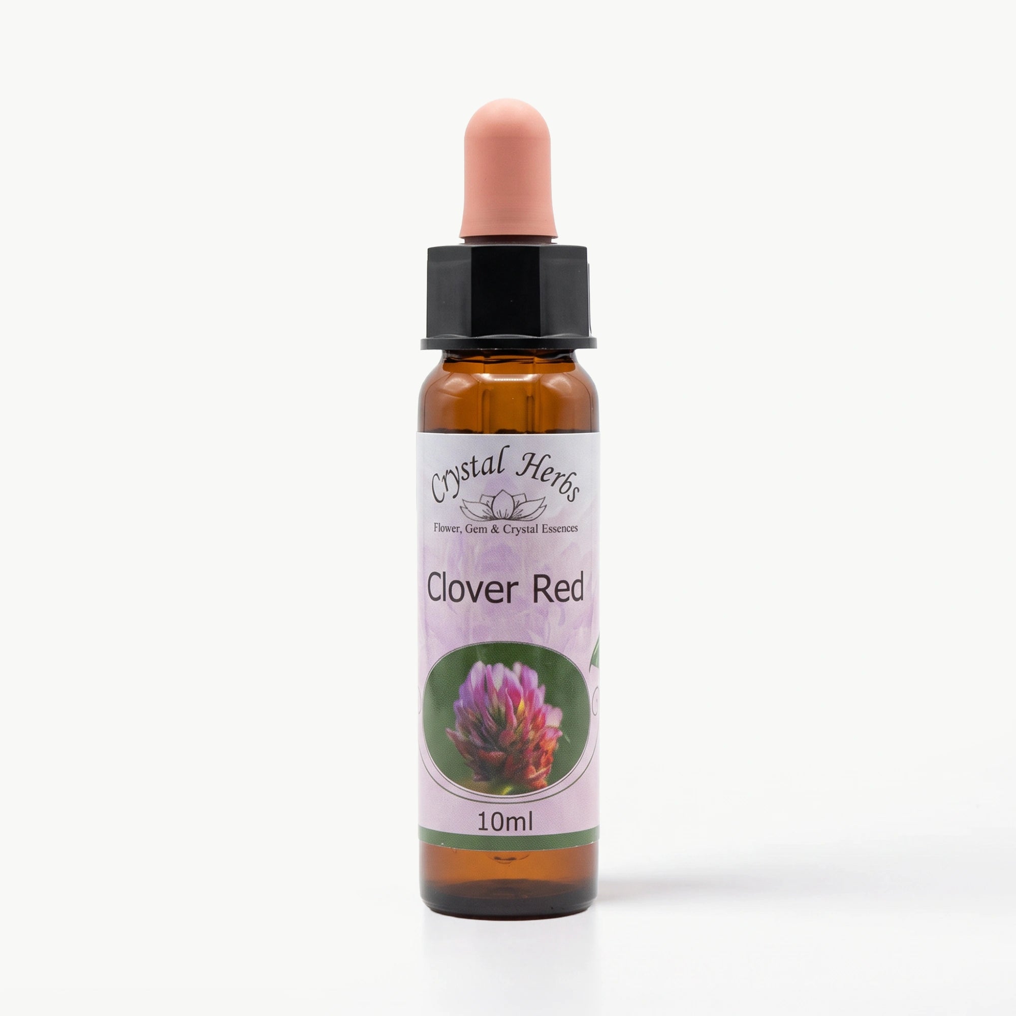 CLOVER RED ( KIRMIZI YONCA ÇİÇEĞİ) Ay Akademi