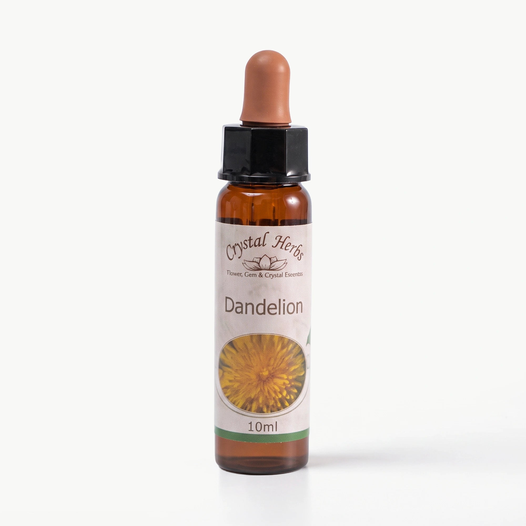 DANDELION ( KARAHİNDİBA )   10 ML. Ay Akademi