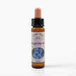 FORGET ME NOT ( UNUTMA BENİ)   10 ML. Ay Akademi
