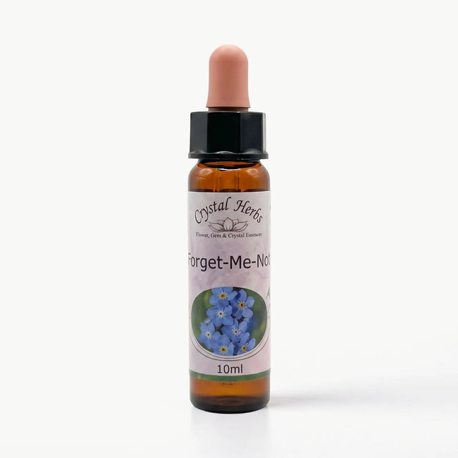 FORGET ME NOT ( UNUTMA BENİ)   10 ML. Ay Akademi