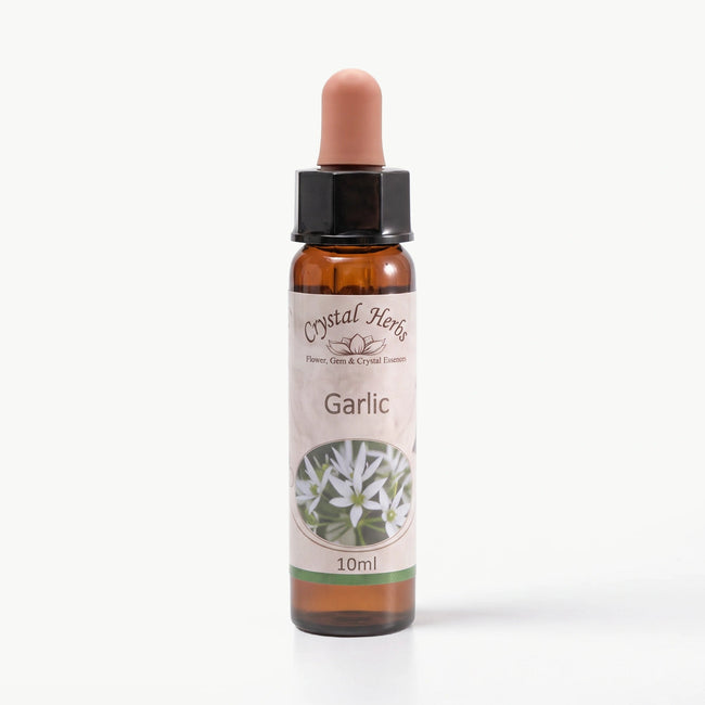 GARLIC ( SARIMSAK)   10 ML. Ay Akademi