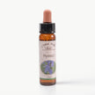 HYSSOP ( ZUFAOTU)  10 ML. Ay Akademi