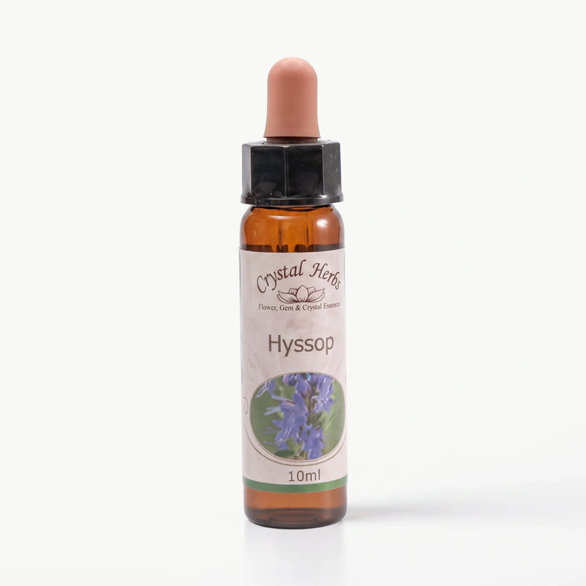 HYSSOP ( ZUFAOTU)  10 ML. Ay Akademi