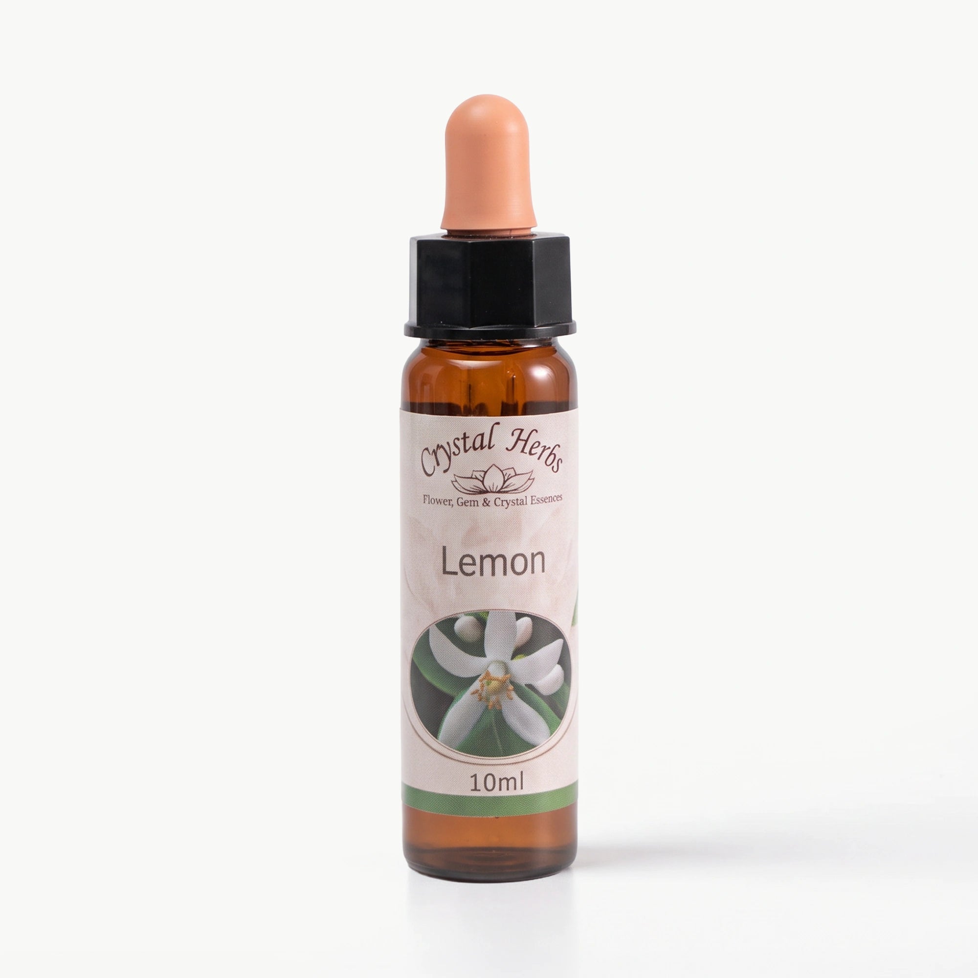 LEMON ( LİMON )      10 ML. Ay Akademi