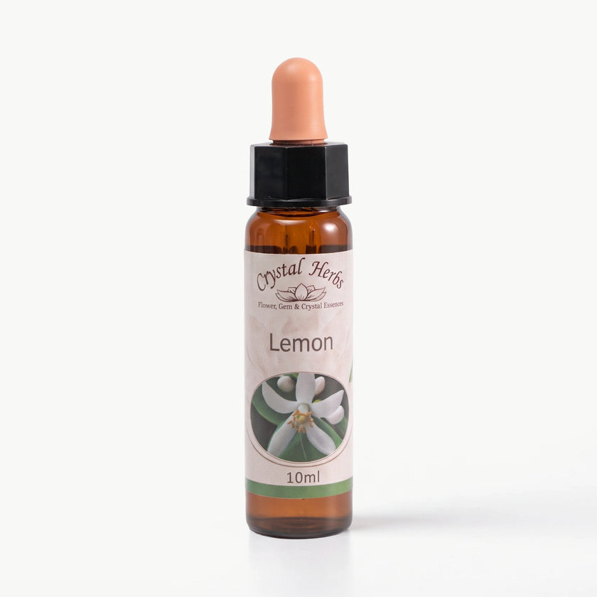 LEMON ( LİMON )      10 ML. Ay Akademi