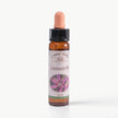 LOOSESTRIFE ( LITRUM )    10 ML. Ay Akademi