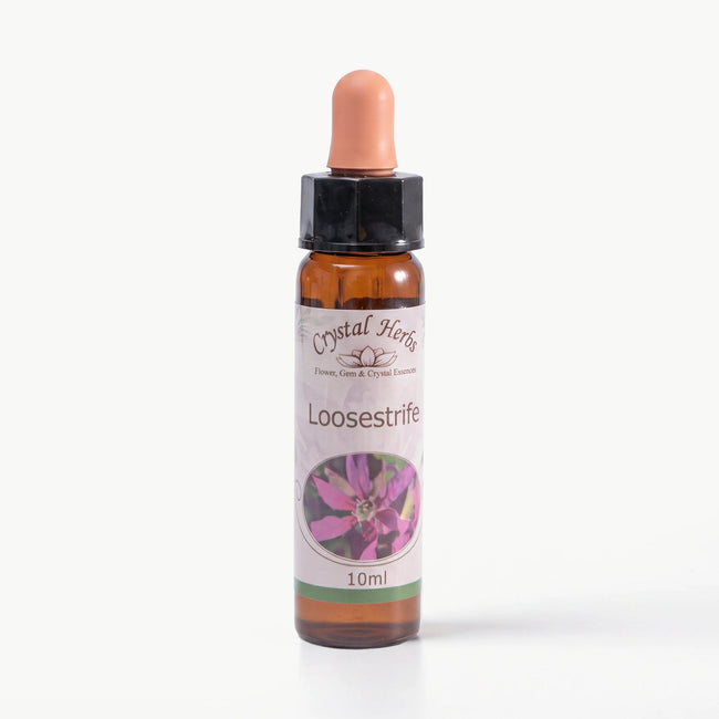 LOOSESTRIFE ( LITRUM )    10 ML. Ay Akademi