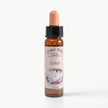 LOTUS    10 ML. Ay Akademi