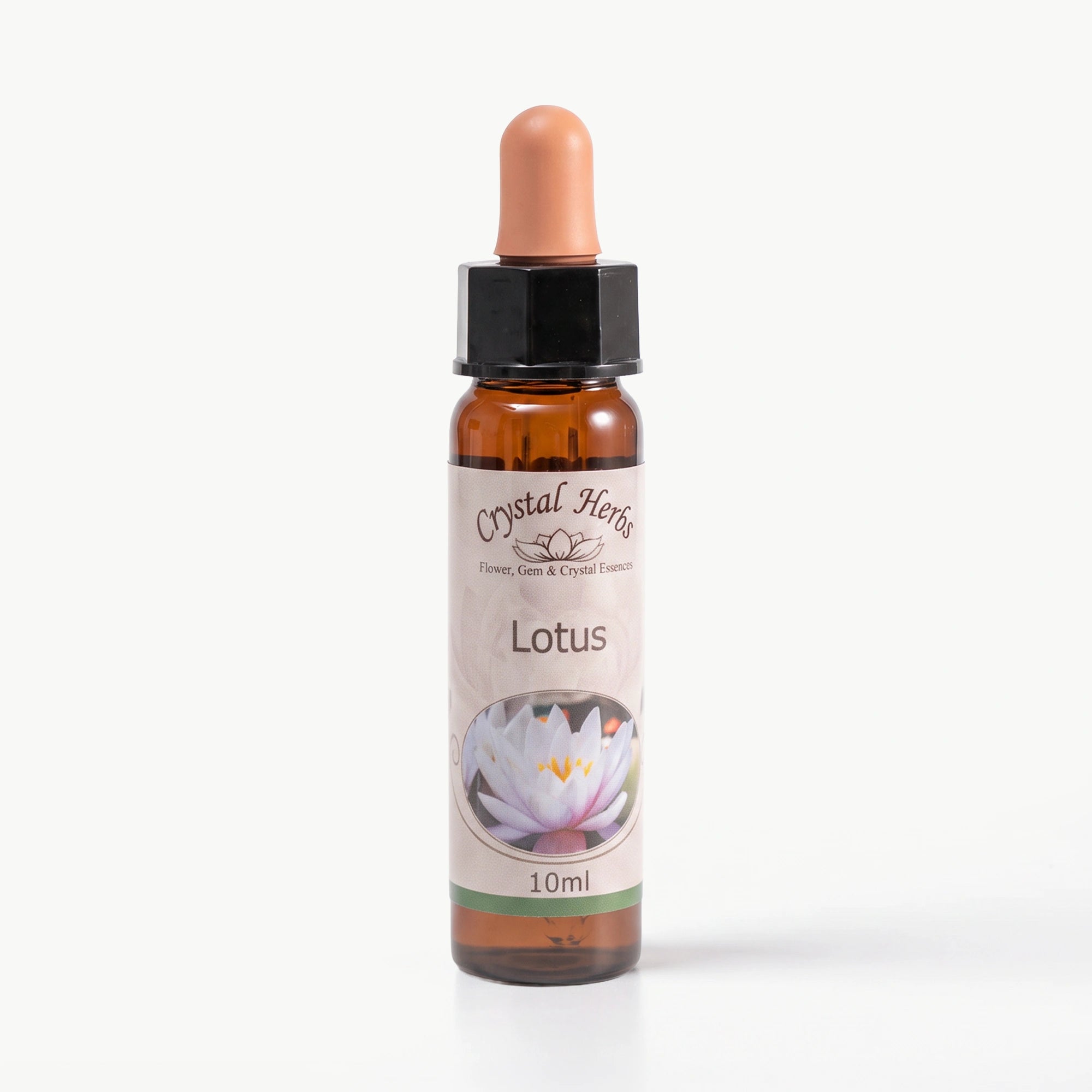 LOTUS    10 ML. Ay Akademi