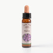 MALLOW ( EBEGÜMECİ )   10 ML. Ay Akademi