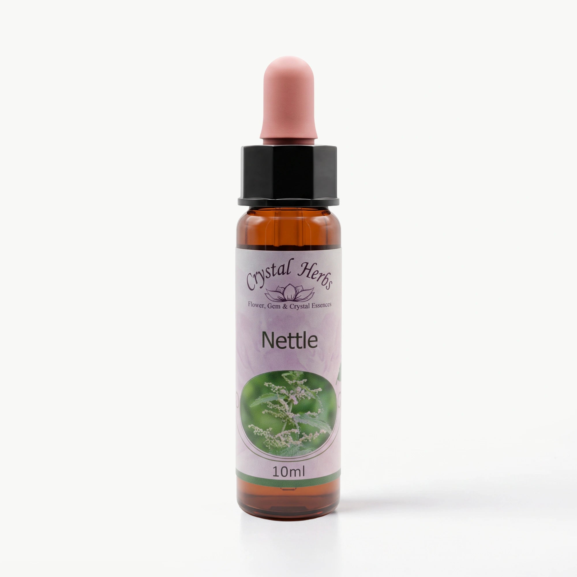 NETTLE ( ISIRGAN) Ay Akademi