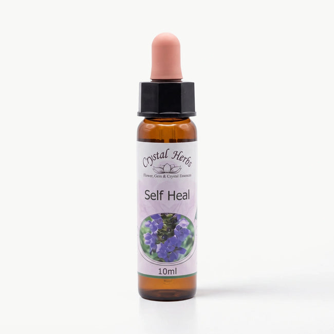 SELF HEAL ( DAĞ ERİĞİ ) Ay Akademi