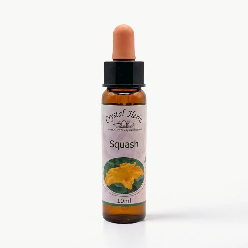 SQUASH ( KABAK ÇİÇEĞİ ÖZÜ )    10 ML. Ay Akademi