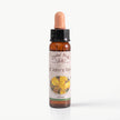 ST.JOHN'S WORT ( BİNBİRDELİK OTU )     10 ML. Ay Akademi
