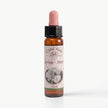 YARROW ( CİVANPERÇEMİ )     10 ML. Ay Akademi