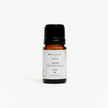 KİŞNİŞ UÇUCU YAĞI %100 SAF | Coriandrum sativum | 5 ml Ay Akademi