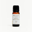 Ay Akademi Niaouli Uçucu Yağı %100 Saf – Melaleuca viridiflora, 10ml Amber Cam Şişe