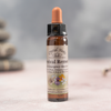 BACH ÇİÇEKLERİ REVIVAL REMEDY - Ay Akademi